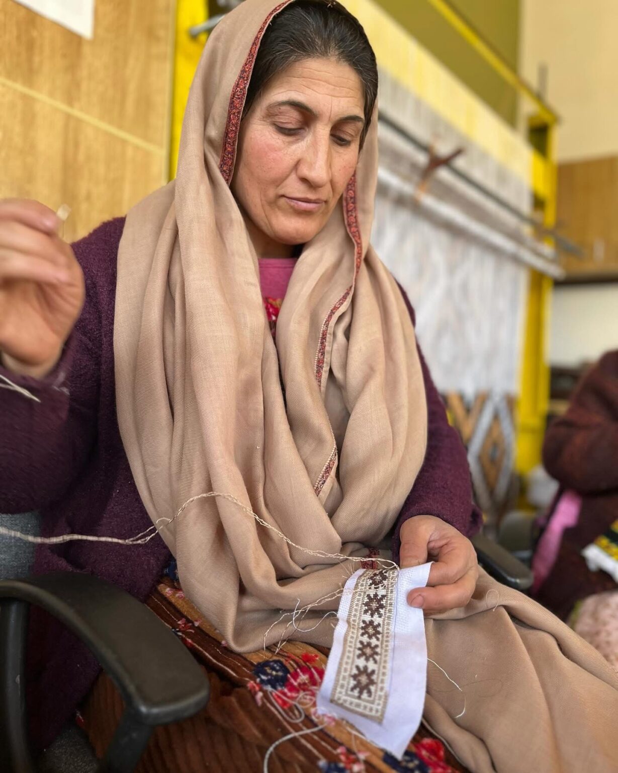Woman Weaving Hunza